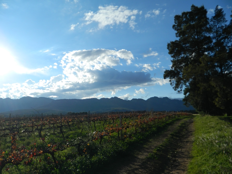 Commercial Property for Sale in Paarl Rural Western Cape